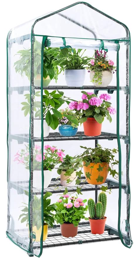 Mua Mini Greenhouse For Outdoors Indoor Ohuhu Small Green House With