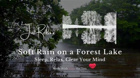 ☔️ Experience Ultimate Calm Rain Sound Relaxation Amidst Gentle