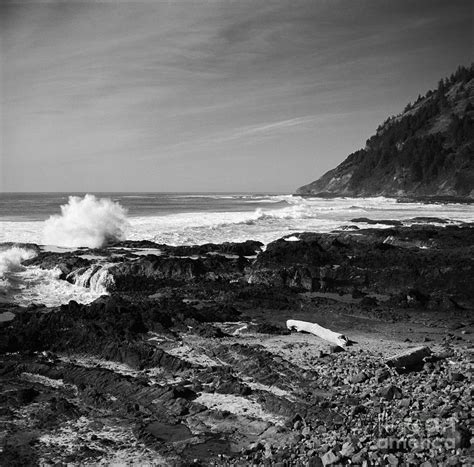 Central Oregon Coast Bw Photograph By Earl Johnson Fine Art America