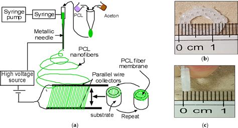 Figure 2 From Evaluation Of Polycaprolactone Electrospun Nanofiber