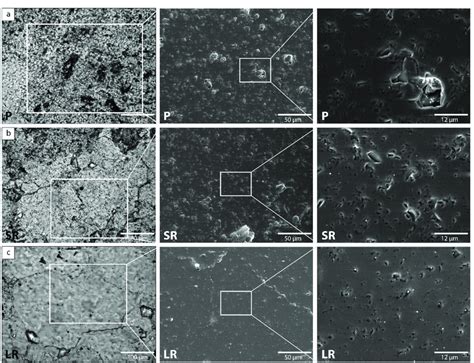 4 Micrographs First Column Parallel Polarized Light Section