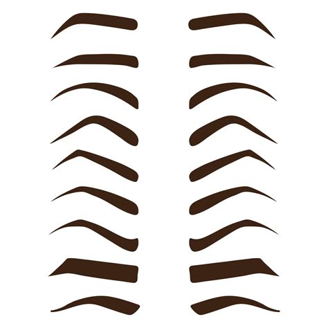 Eyebrow Shape Set Different Types Of Eyebrows Makeup Tips Eyebrow