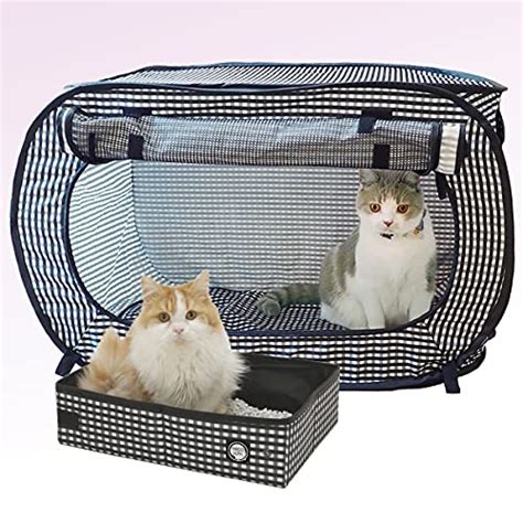 6 Best Cat Carrier with Litter Box - Crates Too! (2023 Reviews)