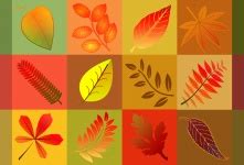 background scrapbooking fall  stock photo public domain pictures