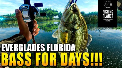 Fishing Planet Largemouth Bass Hotspot Beginners Guide