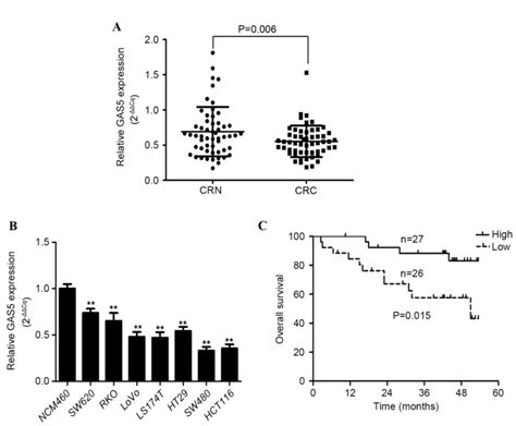 Long Non‑coding Rna Gas5 Inhibits Cell Proliferation Induces G0g1