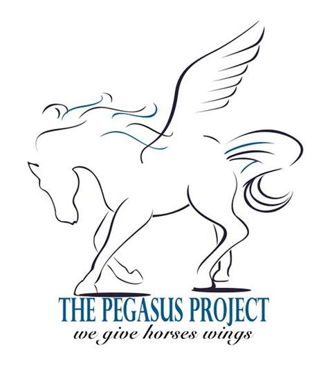 Help Pegasus Project On Ntx Giving Day And You Help Ida Victims Too