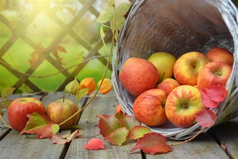 Apfel Herbst Blatt Kostenloses Foto Auf Pixabay