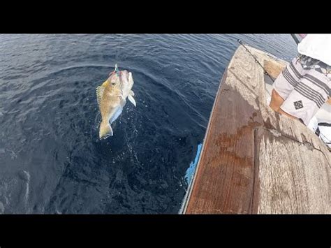 Jigging Golden Tilefish Hudson Canyon NJ YouTube