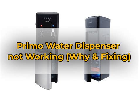 Primo Water Dispenser not Working (Why & Fixing) - PuNk PrOjEcT