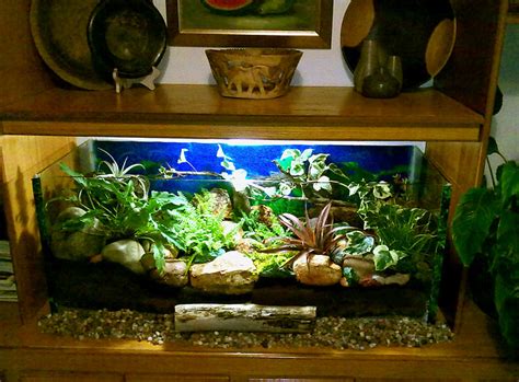 Converted From Aquarium To A Terrarium Flickr Photo Sharing