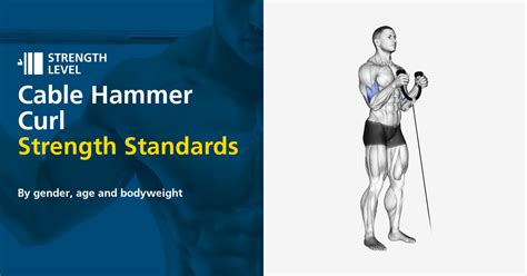 cable hammer curls weight  mark jennings blog