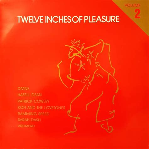 Retro Disco Hi Nrg High Energy Classic 80s Twelve Inches Of Pleasure