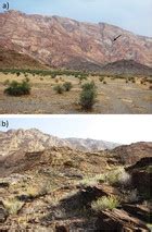 Additions To The Phylogeny Of Colubrine Snakes In Southwestern Asia