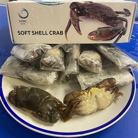 Soft Shell Fresh Crab Pack of 9 (Frozen Box) 1Kg - Sushiguidelb