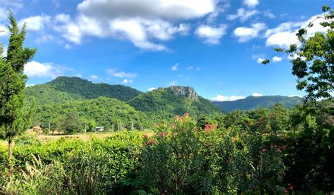 How To Visit Khao Yai National Park In Thailand Updated 2024