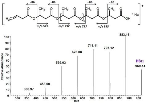 Polymers Special Issue Polymer Mass Spectrometry