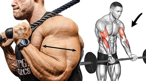 Fastest Exercises For Bicep And Tricep Workout For Arms Gain