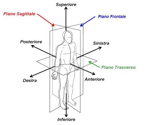 L Analisi Scheletrica Come Indagine Microbiologia Italia