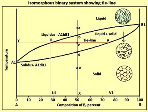 Isomorphous Phase Diagram Definition Solved Sketch An Isomor