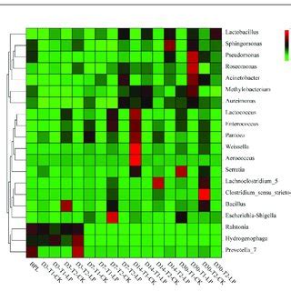 Heatmap Of Prominent Bacterial Genera 20 Most Abundant Genera For B