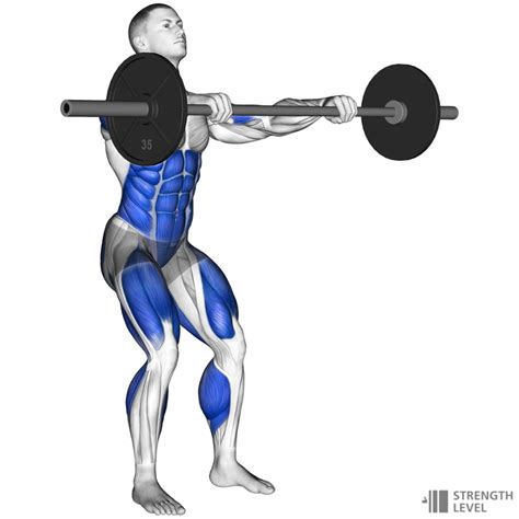 Hang Clean Standards For Men And Women Lb Strength Level