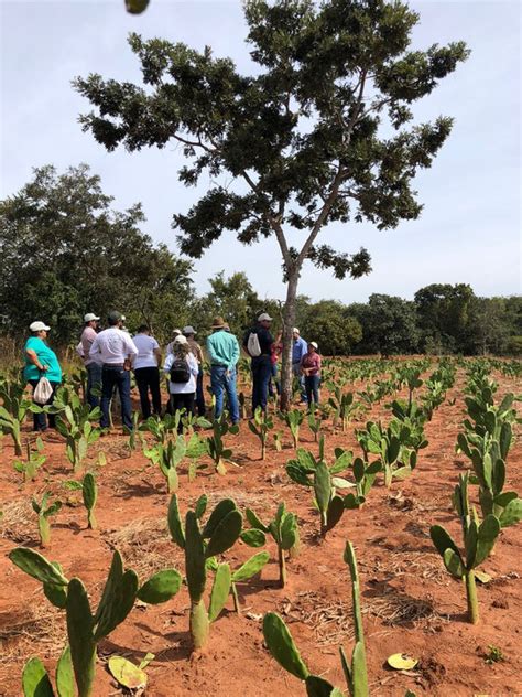 Miss O Do Fip Paisagens Rurais Faz Visita De Campo Em Propriedades De