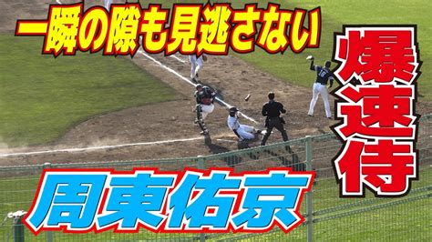 侍japan【爆速侍】周東佑京 守備がもたつく一瞬の隙も見逃さない自慢の快足で7点目【wbc侍ジャパンの壮行試合vsソフトバンクホークス