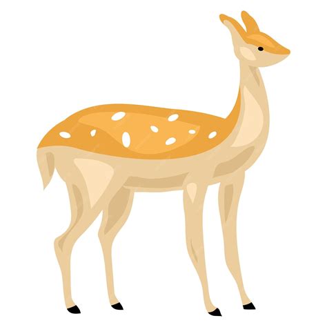 Premium Vector Female Deer Icon Cartoon Of Female Deer Vector Icon For Web Design Isolated On