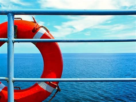 Free Life Saver Download Free Life Saver Png Images Free Cliparts On
