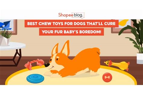 Best Chew Toys Banner Shopee Ph Blog Shop Online At Best Prices