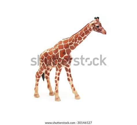 2502 Plastic Toy Giraffe Images Stock Photos And Vectors Shutterstock