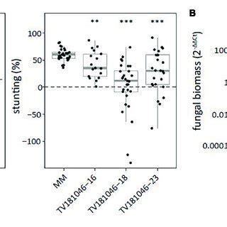 Transient Silencing Of WAT1 In Tomato Resulted In Reduced