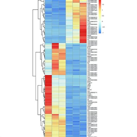 PDF Metabolomic And Transcriptomic Analyses Reveal Response