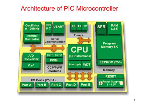 Solution Pic Microcontroller And Its Architecture Studypool