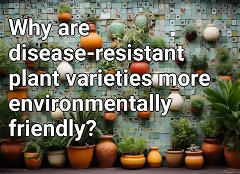 Why Are Disease Resistant Plant Varieties More Environmentally Friendly Gardeninggovcapital