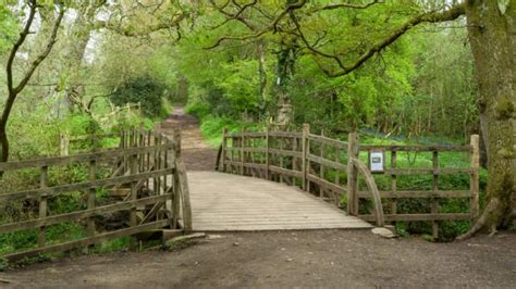 Fire Destroys Parts of Ashdown Forest, the Woods That Inspired Winnie ...