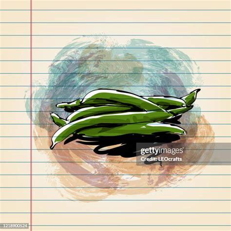 Watercolor Greenbeans High Res Illustrations - Getty Images