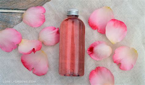 Diy Rose Water Toner For Dry Skin Diy Rosewater Toner How To Make