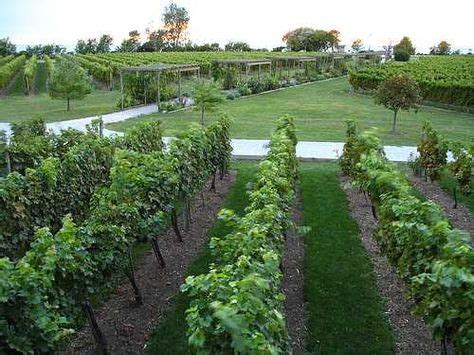 73 Essex County Wineries ideas | essex county, essex, winery