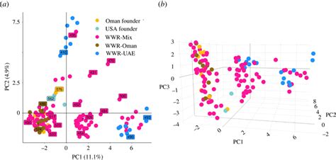 Principal Component Analysis Pca Using The First Two Principal Download Scientific Diagram