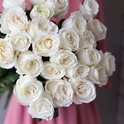 Изящные Розы Плайя Бланка (Playa Blanca Rose)