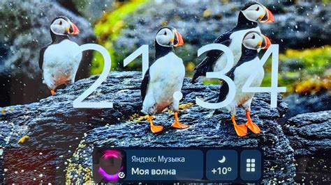 Умный дисплей Xiaomi с Алисой (Xiaomi smart display 10r). Первая Алиса ...