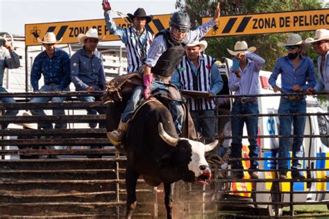 International Livestock Fair Quer Taro Dates And Billboard Bullfrag