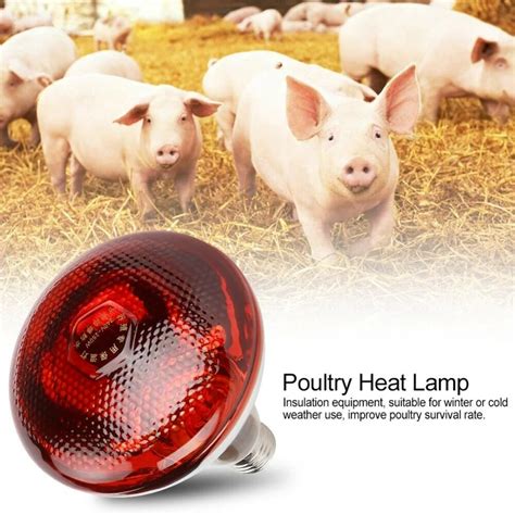 W Poultry Infrared Heat Lamp Waterproof Anti Explosion Thickened