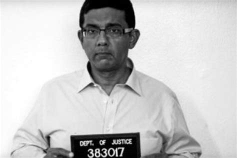 Baby Loo On Twitter RT TonyHussein4 Dinesh D Souza Was Sentenced To