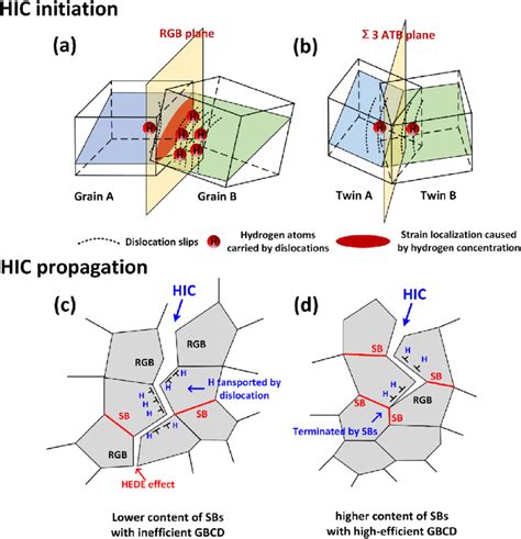 Schematic Diagram Of HIC Initiation And Propagation In The Current