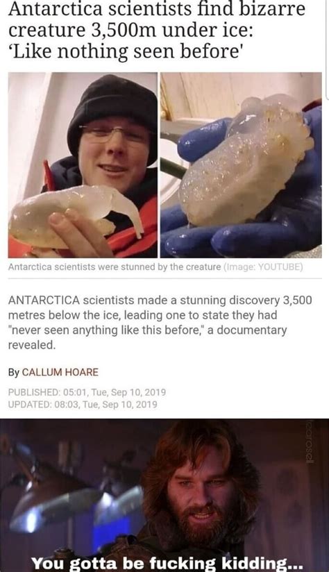 Antarctica Scientists Find Bizarre Creature M Under Ice Like