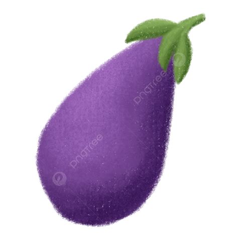 Purple Eggplant Illustration Purple Vegetables Fresh PNG Transparent