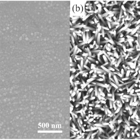 Sem Images Of A Zno Nanoparticle Seed Layer And B Zno Nws Array